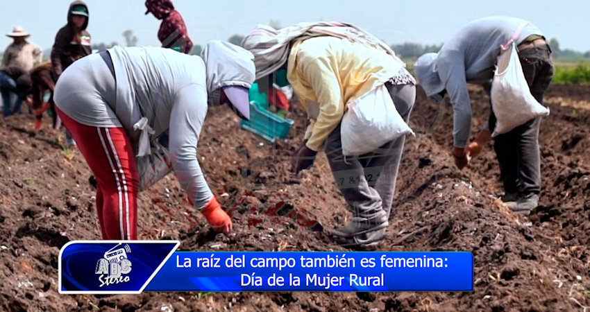 La raíz del campo también es femenina: Día de la Mujer Rural