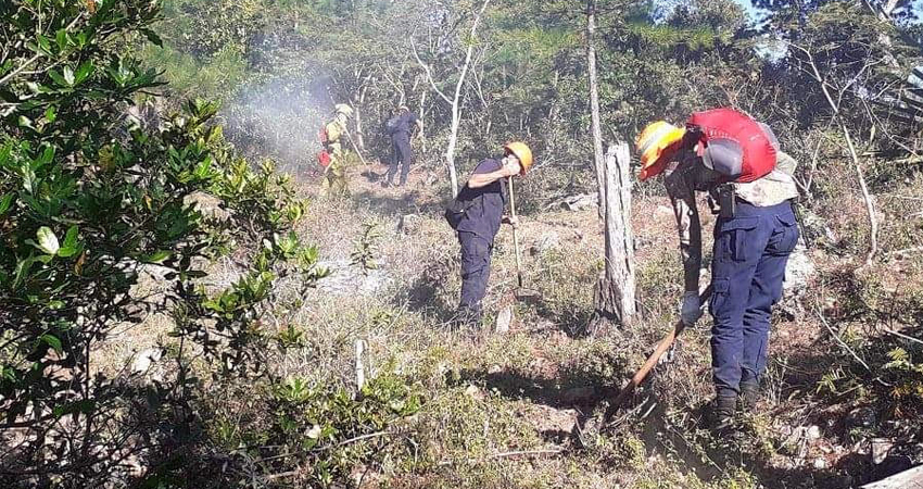 Los vientos y hojas secan hicieron que el fuego se propagara más rápido. Foto: Juan Fco. Dávila/Radio ABC Stereo