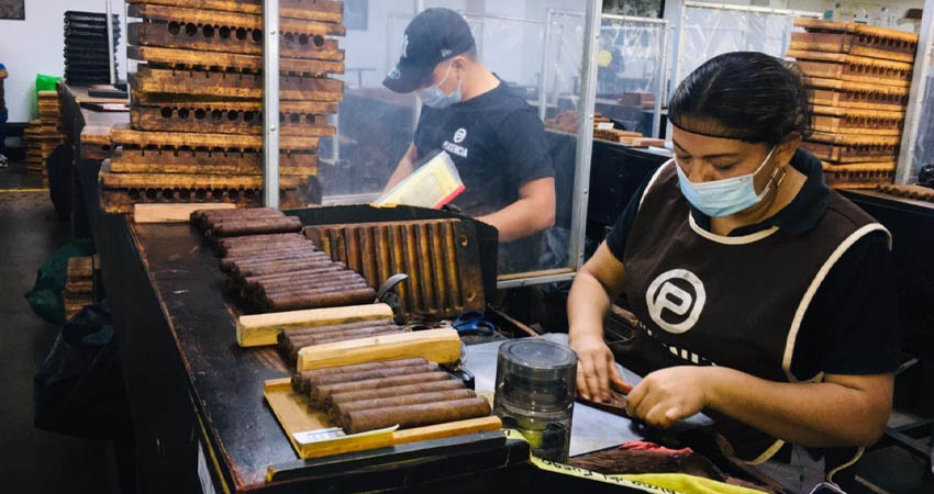 Los obreros del tabaco se cuentan por cientos en la ciudad de Estelí, contribuyendo al dinamismo económico de la zona. Foto: Archivo/Radio ABC Stereo