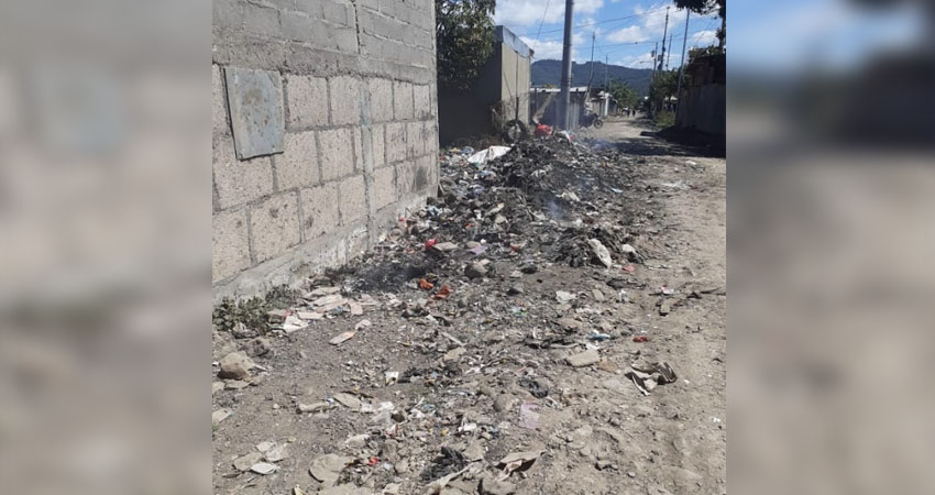La pobladora hizo un llamado para que vecinos y dueños de solares tomen medidas. Foto: Cortesía/Radio ABC Stereo