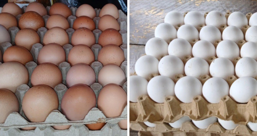 La cajilla podría llegar a valer entre 150 y 160 córdobas en las próximas semanas. Foto: Byron Altamirano/Radio ABC Stereo