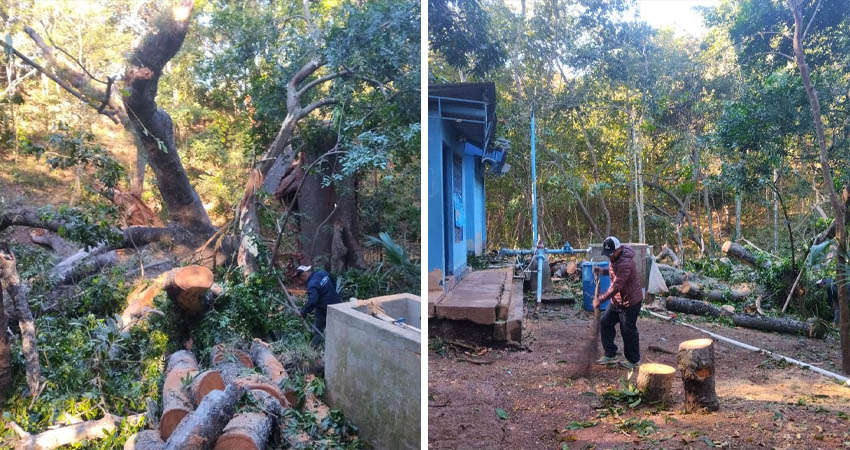 Árbol provoca daños en caseta de Enacal. Foto: Cortesía / Radio ABC Stereo