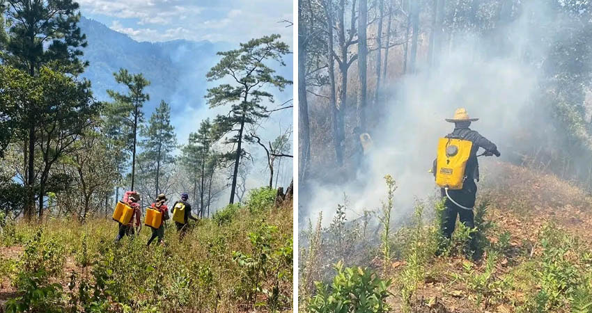 Incendio forestal en Telpaneca. Foto: Cortesía/Radio ABC Stereo
