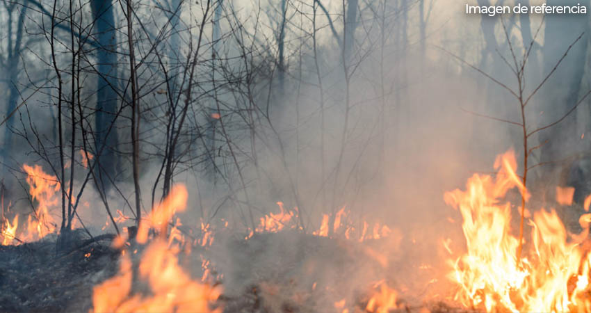 Incendios forestales en Madriz. Foto: Imagen de referencia