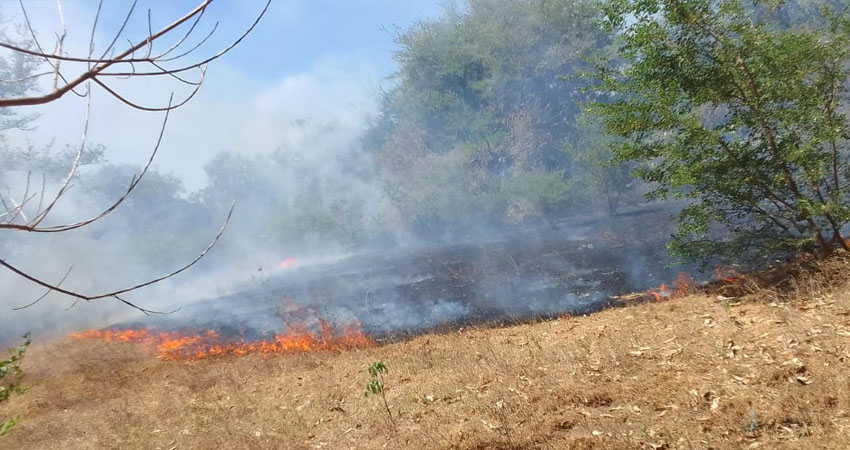 Incendio en la comunidad La Grecia, Chinandega. Foto: Cortesía/Radio ABC Stereo