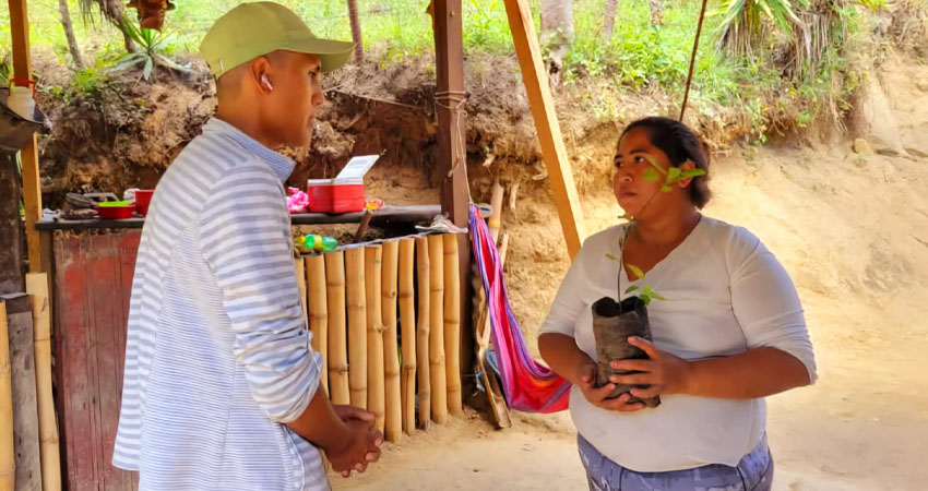 Se entregaron plantas frutales a las familias. Foto: Cortesía/Radio ABC Stereo