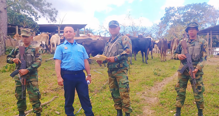 El operativo se realizó el 13 de febrero de 2026. Foto: Cortesía/Ejército de Nicaragua