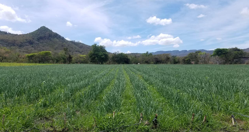 El incremento afecta los costos de producción. Foto: Roberto Mora/Radio ABC Stereo