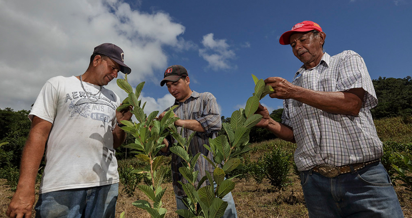 Un trabajo en conjunto para apoyar al sector agrícola. Imagen de referencia