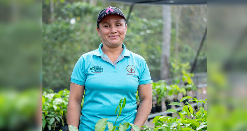 Mujeres viveristas de CAMUVI siembran un futuro verde. Foto: Nestlé Nicaragua