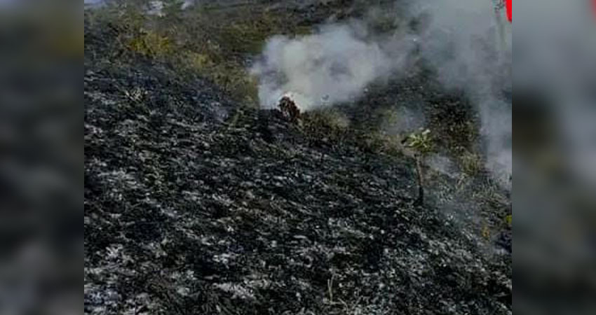 Filemón González murió quemado. Foto: Cortesía/Radio ABC Stereo