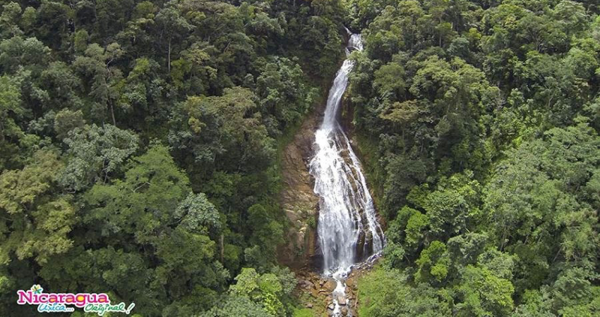 Las autoridades esperan superar la cifra de 100 mil visitantes este año.