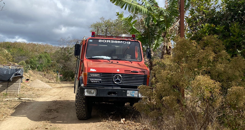 En las últimas semanas, los bomberos han tenido que exterminar varias colmenas. Foto: José Enrique Ortega/Radio ABC Stereo