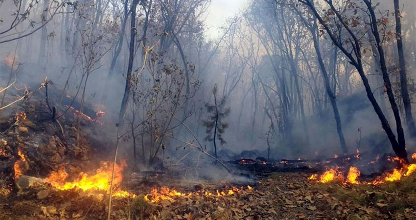 Hasta la fecha se contabilizan 123 incendios. Foto: Cortesía