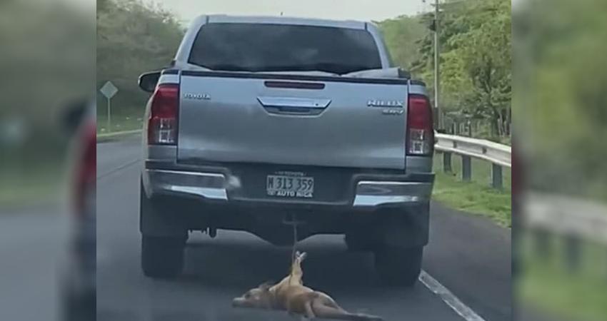 Captura de video grabado por la pasajera de un vehículo que viajaba detrás de la camioneta involucrada.