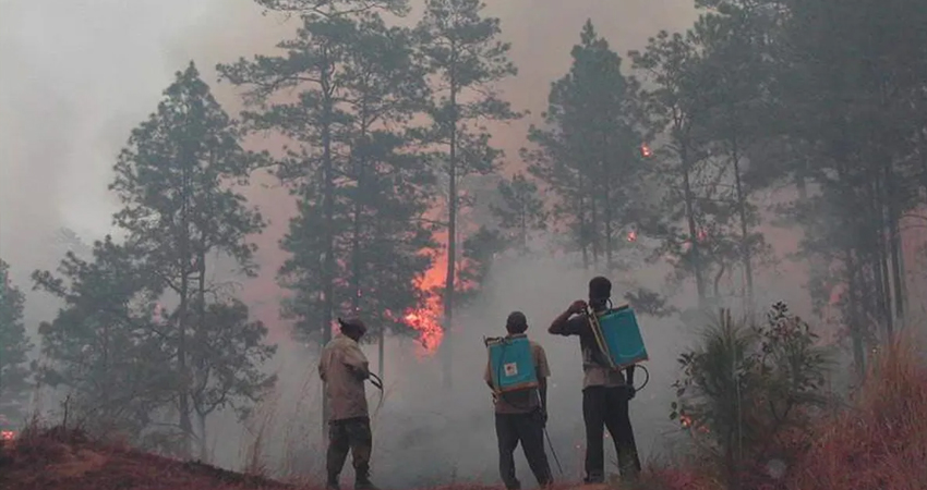 Los incendios ocasionan diversas afectaciones al planeta y, por ende, a la humanidad. Imagen de referencia