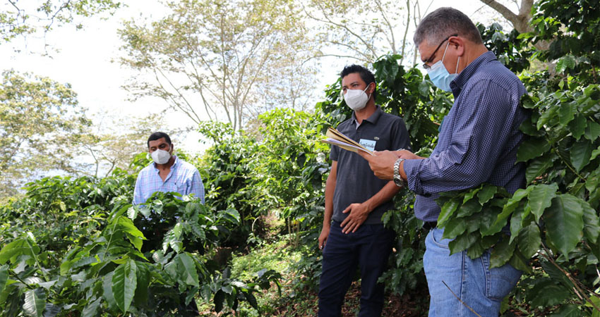 El Comercio Justo puede hacer la diferencia en las políticas públicas sobre cambio climático. Foto: Cortesía CLAC/Radio ABC Stereo