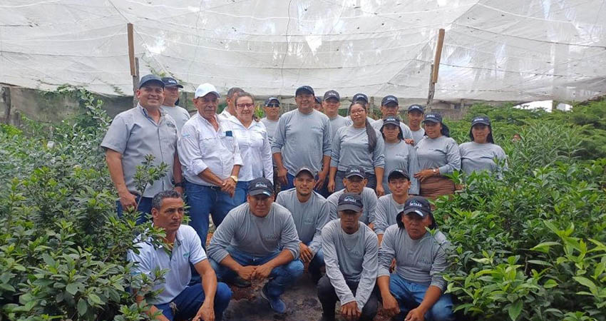 La iniciativa ambiental se enmarca en la campaña nacional «Verde, que te quiero Verde», que tiene como objetivo principal promover la reforestación y la restauración del medioambiente en todo el país.