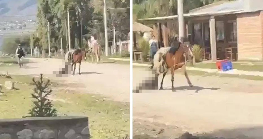 Caballo provoca la muerte a un niño en zona rural de El Viejo. Foto: Cortesía/Radio ABC Stereo