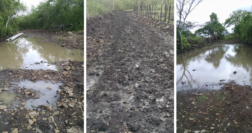 Por este camino tienen que pasar los estudiantes para ir a la escuela. Foto: Cortesía