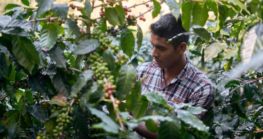 Desde el 2019, este programa ha capacitado a más de 720 jóvenes nicaragüenses. Foto: Nestlé/Radio ABC Stereo