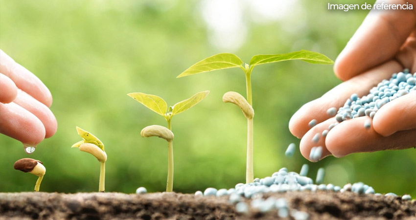 Los agricultores tendrán precios más cómodos para invertir en sus cultivos. Imagen de referencia