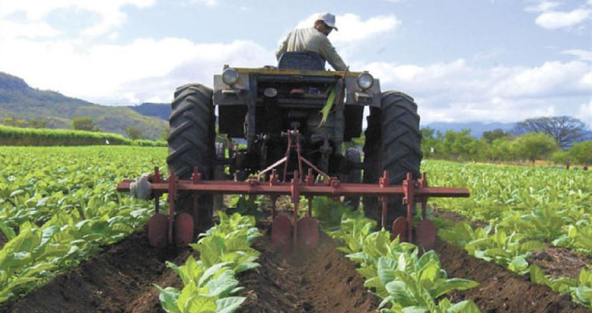 Presentan Plan Nacional de Producción de Nicaragua. Foto: Imagen de referencia