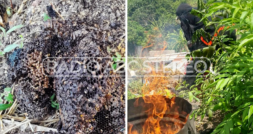 Cuerpos de socorro se presentaron en el lugar. Foto: Cortesía/Radio ABC Stereo