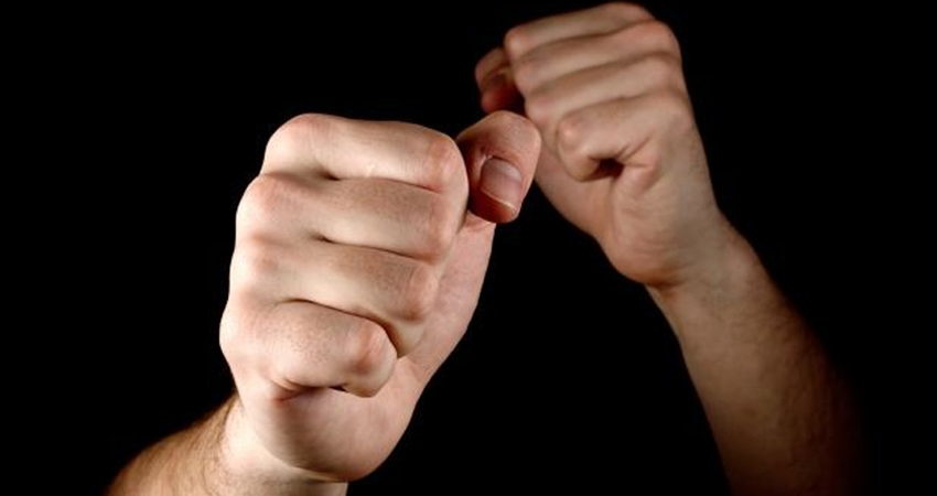 Imagen de referencia