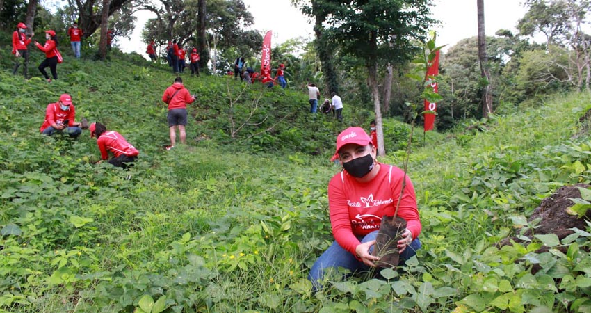 Claro promueve los beneficios de la reforestación. Foto: Cortesía/Claro Nicaragua