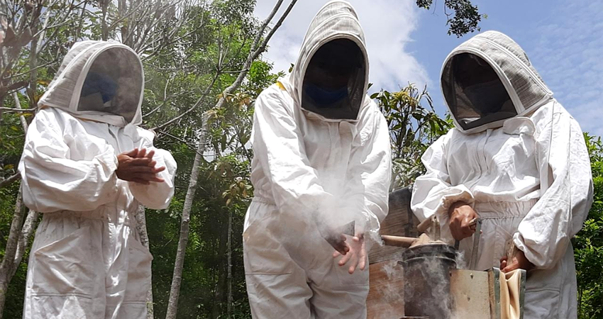 Se estima que un 30% de la apicultura está a cargo de mujeres. Foto: Famnuel Úbeda/Radio ABC Stereo