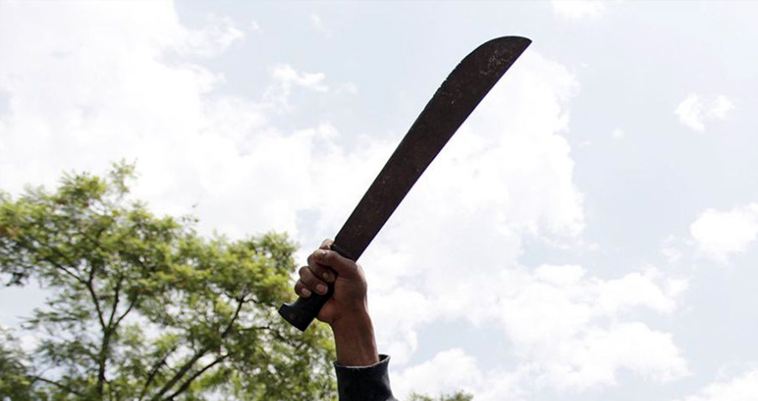 Imagen de referencia