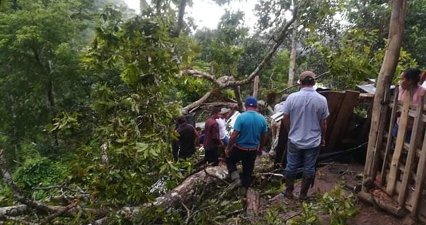 Las víctimas no habitan en la zona. Foto: Cortesía