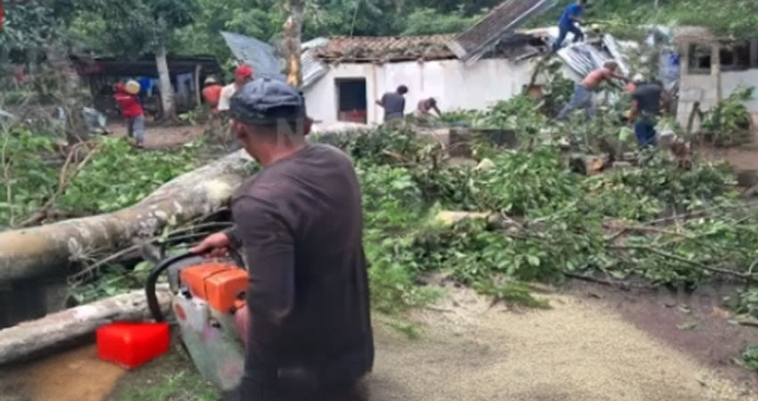 Un árbol cayó sobre una vivienda. Foto: Cortesía/Radio ABC Stereo