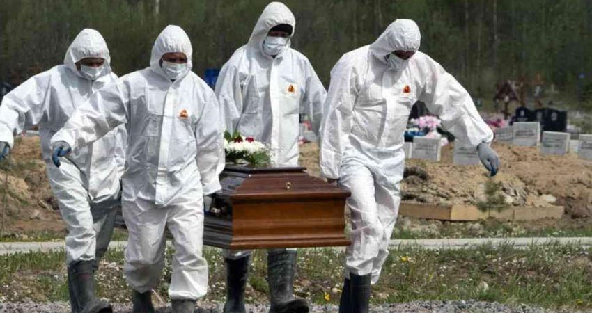 Imagen de referencia.