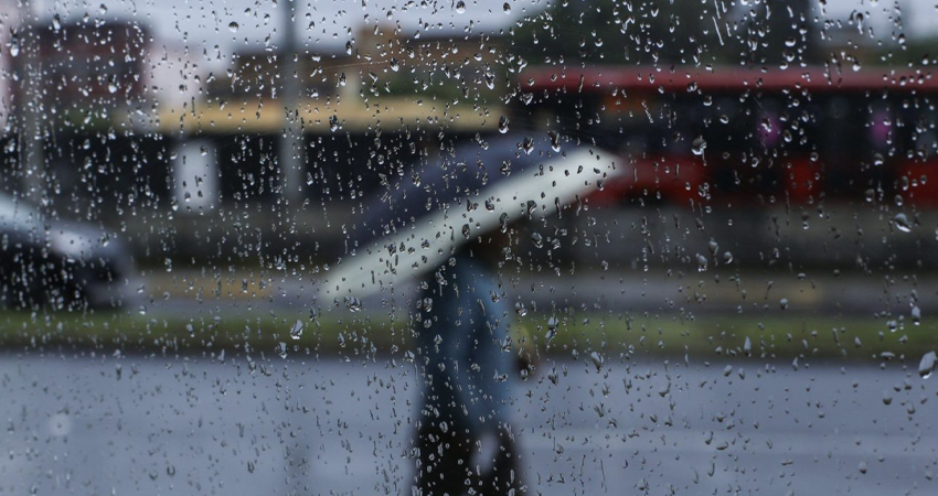 Imagen de referencia