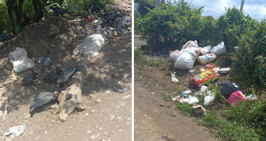 Demandan más conciencia de parte de los habitantes que comenten estos actos. Fotos: Cortesía/Radio ABC Stereo