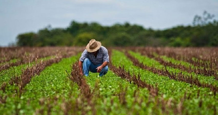 El trabajo de las y los agricultores es clave para la economia. Foto: Imagen de referencia/Radio ABC Stereo