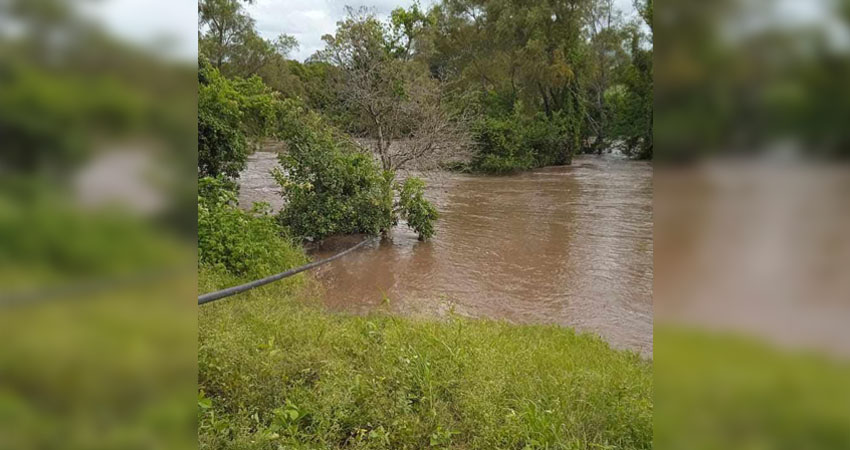 Pérdida de cultivos por lluvias. Foto: Cortesía/Radio ABC Stereo