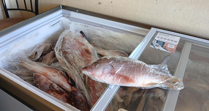 Comerciantes reportaron que las ventas siguen estables. Foto: Byron Altamirano/Radio ABC Stereo