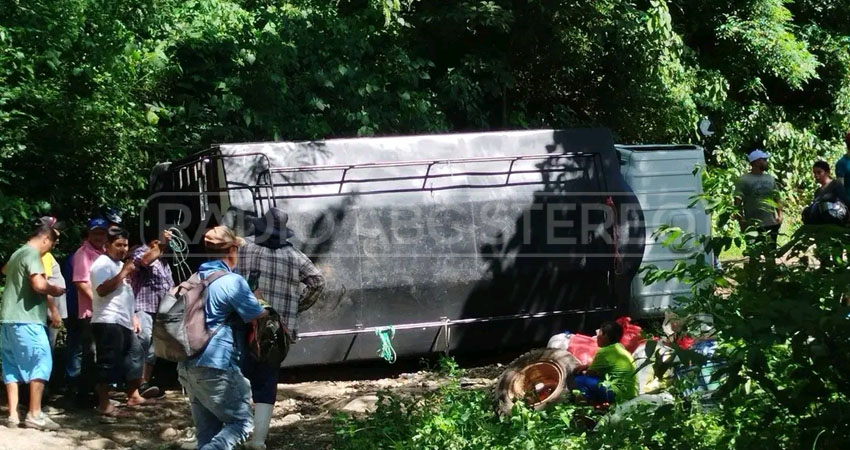 El camión impactó contra un árbol antes de volcarse. Foto: Cortesía/Radio ABC Stereo