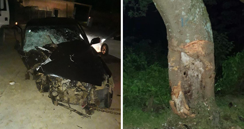 La víctima se estrelló contra un árbol. Foto: Cortesía/Radio ABC Stereo