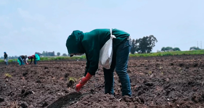 Estas mujeres asumen el trabajo doméstico y agrícola. Foto: Referencia/Radio ABC Stereo