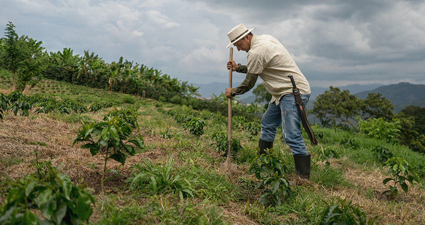 La ruta hacia sistemas agrícolas regenerativos debe ser proteger más tierras, preservar áreas y restaurar ecosistemas para ofrecer mayores beneficios a la biodiversidad.