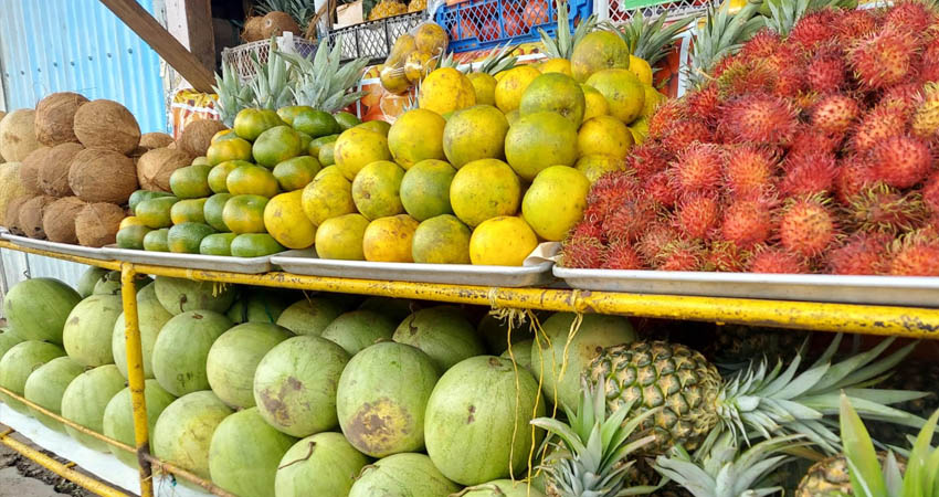 Pérdidas de frutas por la humedad. Foto: Cortesía / Radio ABC Stereo