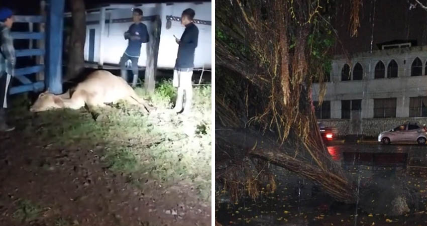 Afectaciones por lluvias en León y Chinandega. Foto: Cortesía/Radio ABC Stereo