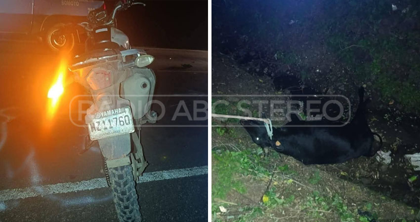 El motociclista impactó contra una vaca que se le cruzó inesperadamente, resultando con una mano fracturada y múltiples golpes.