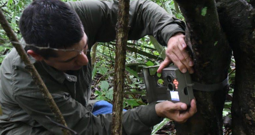Las cámaras forman parte del plan de monitoreo de la biodiversidad. Foto: MARENA
