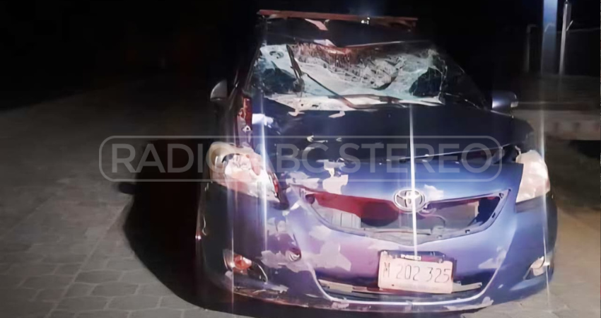 En la comunidad La Mía el conductor de un automóvil impactó contra un toro, y en Las Mercedes un motociclista chocó con un ternero. Los accidentes dejaron daños materiales y un lesionado.