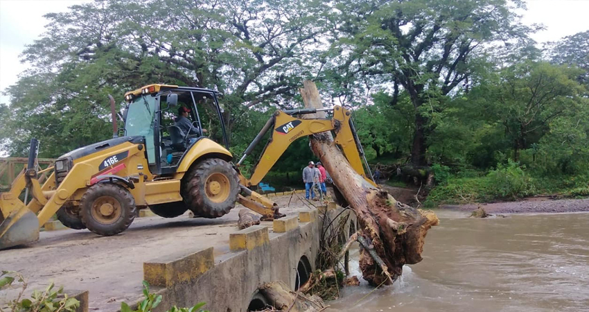 Desprendimiento de árboles por vientos de huracán Iota